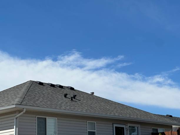 Best Rubber Roofing (EPDM, TPO)  in Walnut Creek, NC